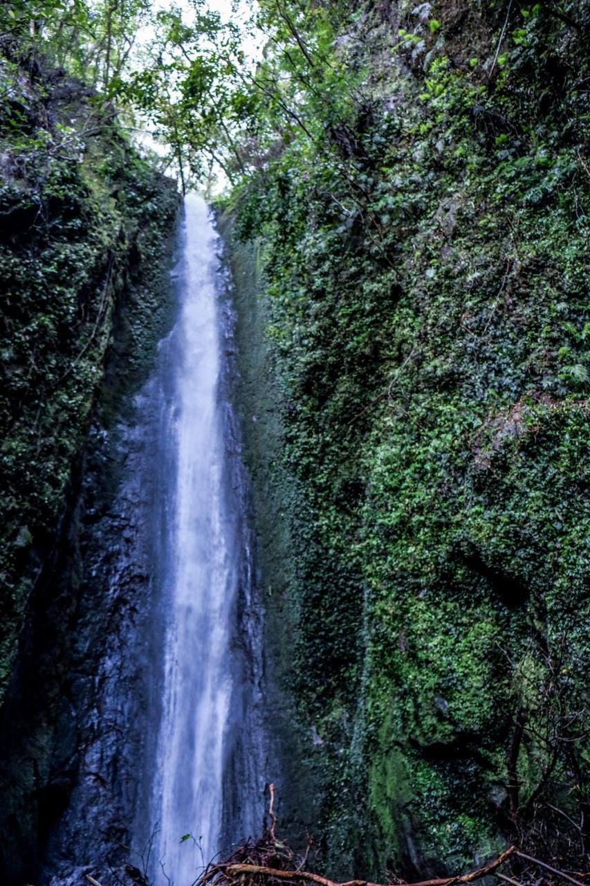 ホテル レジデンシア デル ハモール Sorsogon エクステリア 写真
